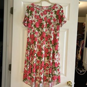 LuLaRoe Carly Dress